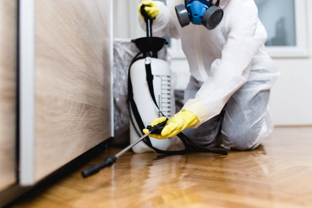 Best Best Pest Control Companies  in Evanston, WY