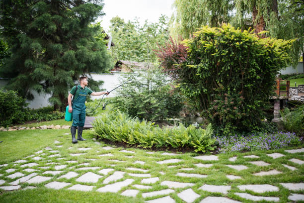 Best Wasp Removal Services  in Evanston, WY