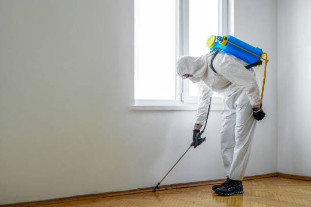 Best Best Pest Control Companies  in Evanston, WY