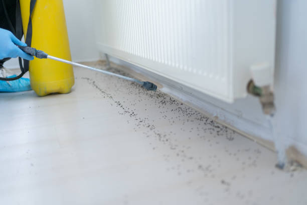 Best Pest Prevention Services  in Evanston, WY