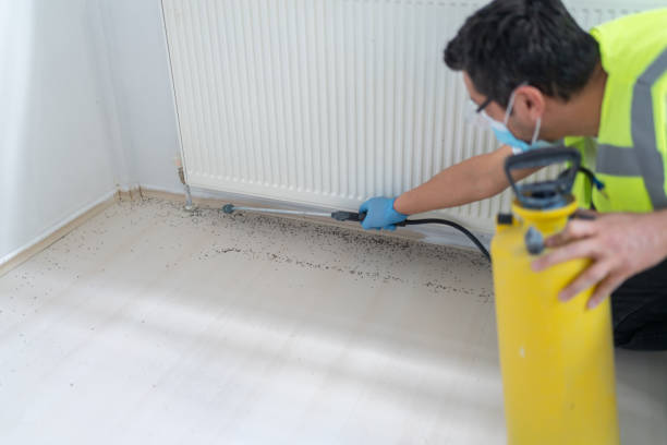 Pest Prevention Services in Evanston, WY