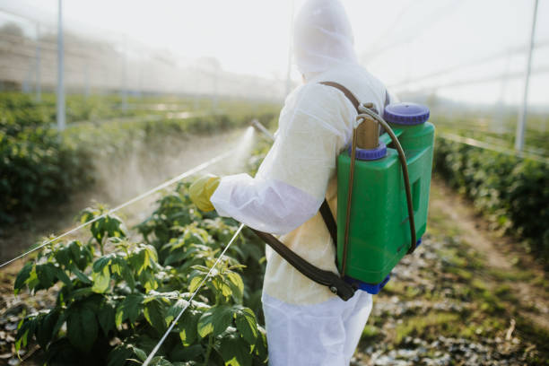 Best Wasp Removal Services  in Evanston, WY